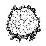 600px-cauliflower_psfsvg 600px-cauliflower_psfsvg