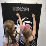 Whitstable Seaside Guide Invasive Kids