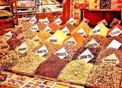 International Yoga Retreats