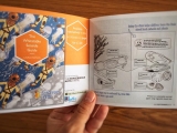 The Whitstable Seaside Guide launches this week