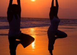 Private Yoga Classes